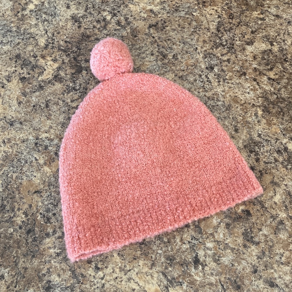 Everlane Beanie